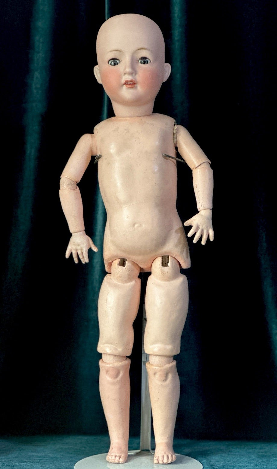 Antique German 24” Gebrüder Ohlhaver Revalo Bisque Head Doll