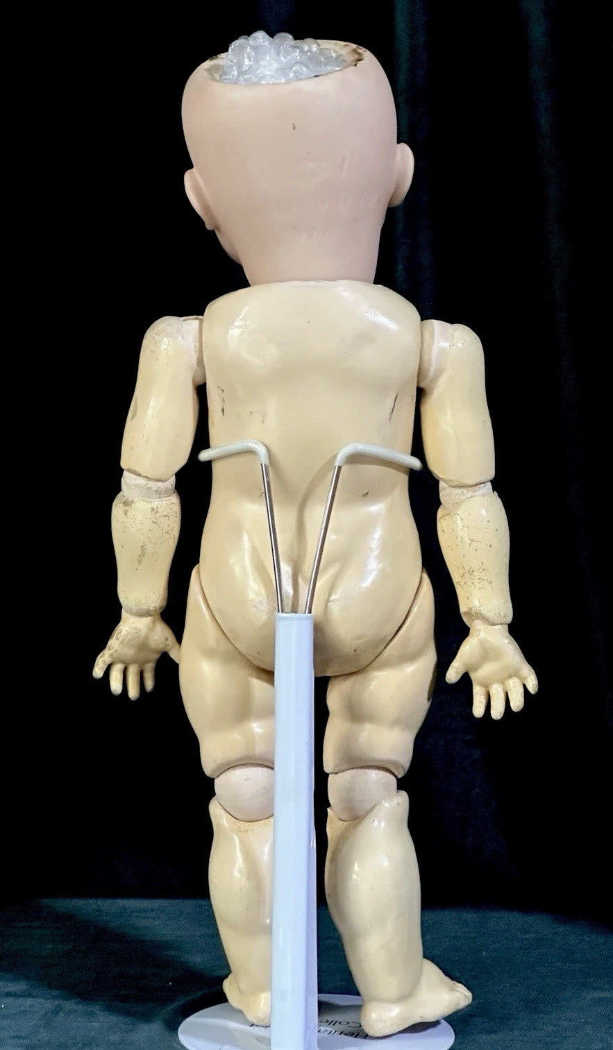 Antique German Kammer & Reinhardt Simon Halbig 16” Toddler Doll Bisque Head