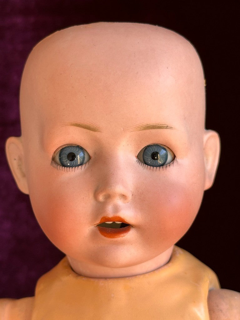 Antique German 14" Schoenau & Hoffmeister Bisque Head Toddler Character Doll
