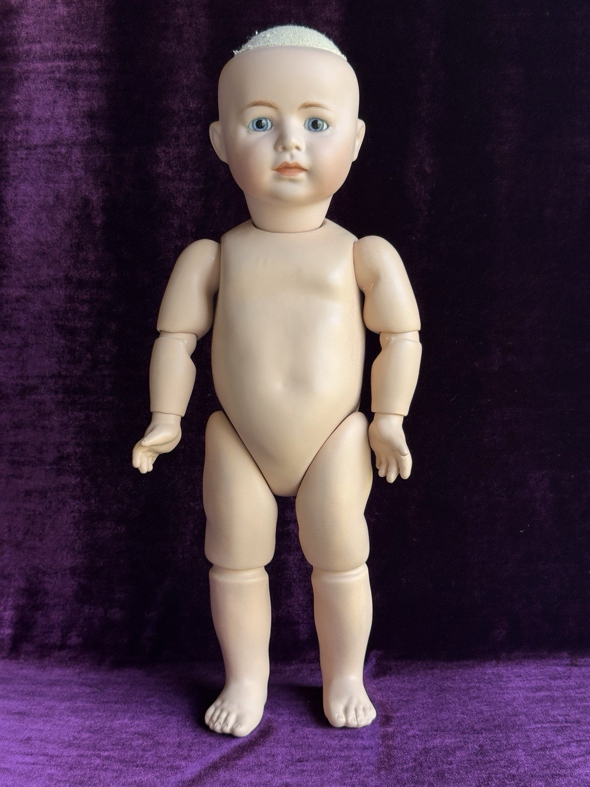 Rare 17” Porcelain/Compo Reproduction of Simon Halbig 1488 Boy Doll