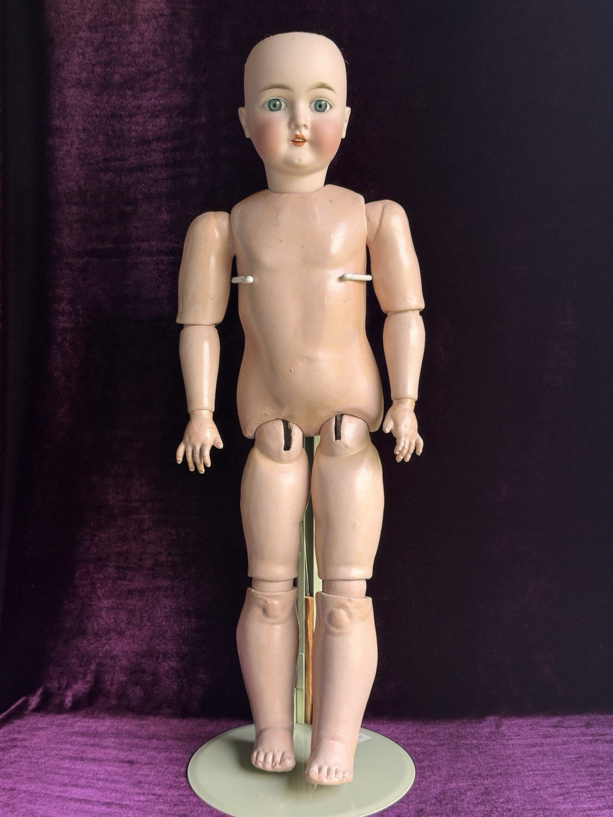 Antique German 25” Queen Louise Doll Bisque Head Composition Body