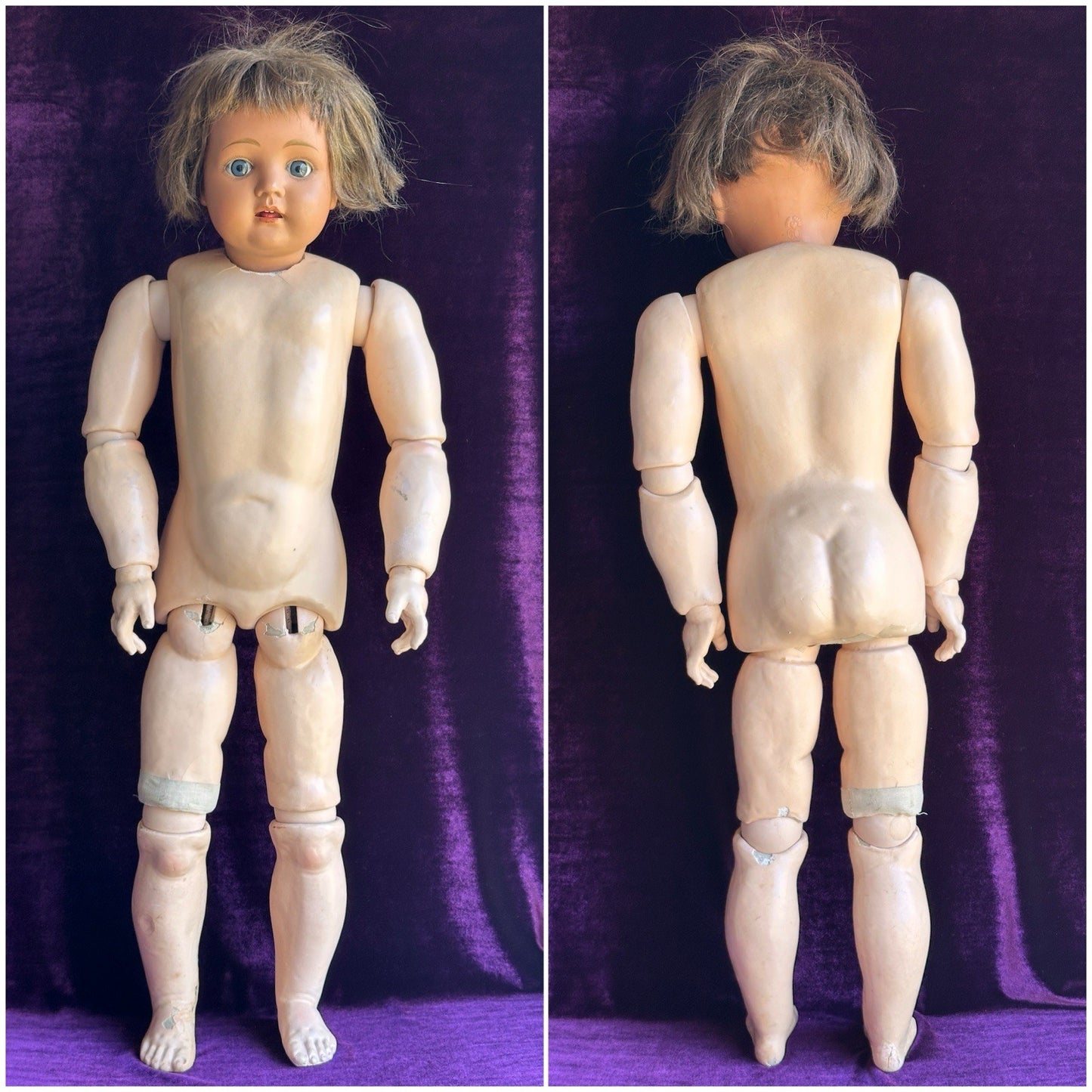 Vintage German Lifesize 31” Schutz-Marke 60 Celluloid Head Composition Body Doll
