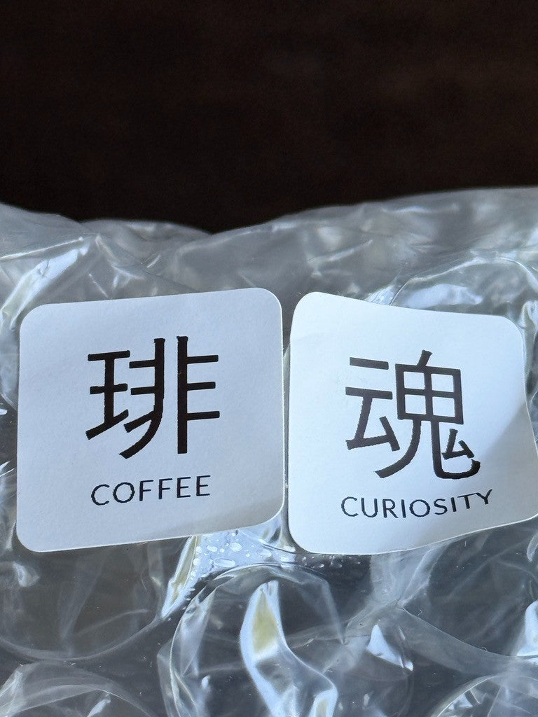 Smart Doll CURIOSITY COFFEE BJD Anime Style Doll by Danny Choo Box Accessories