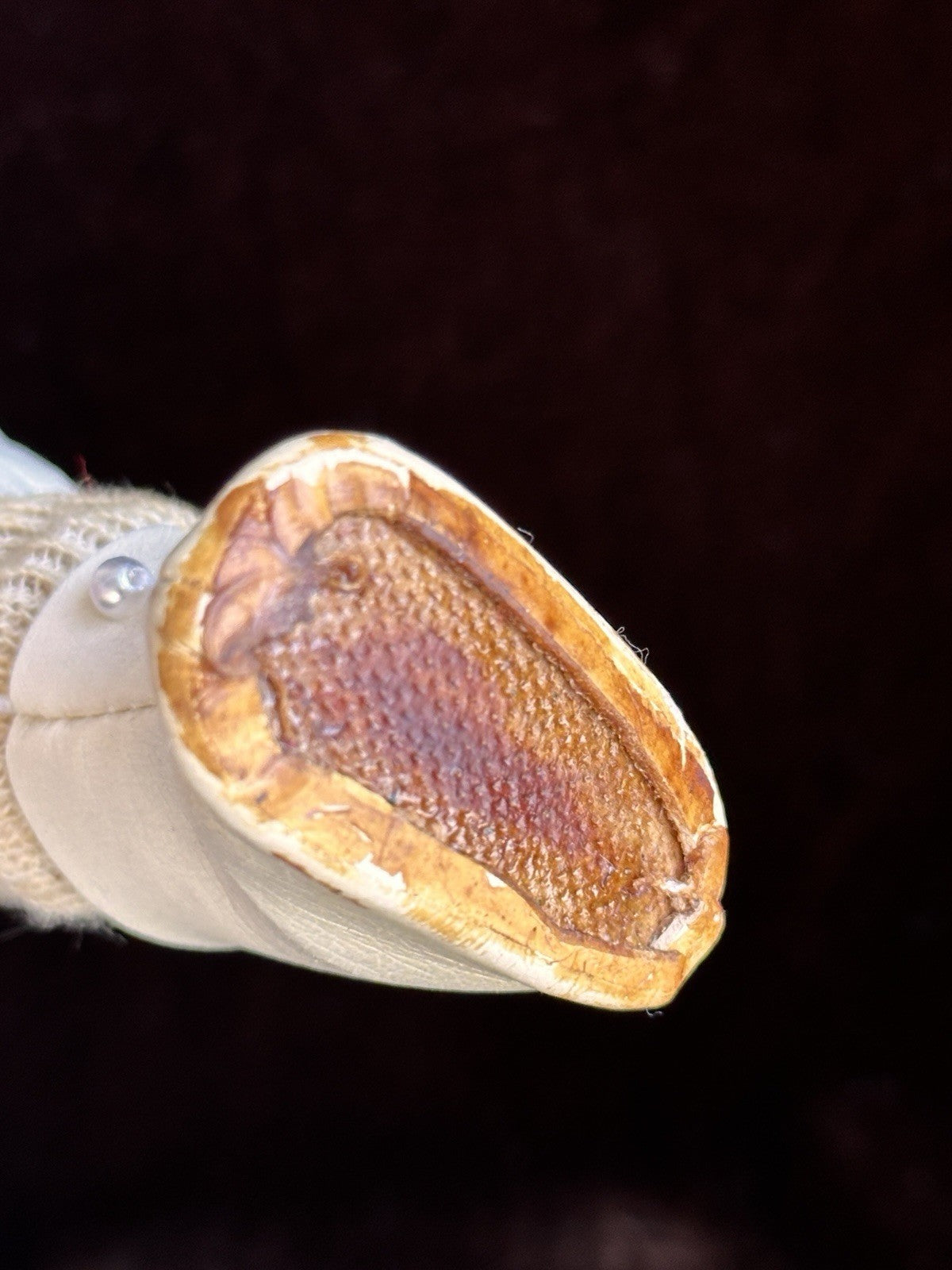 Antique German 14” Armand Marseille 1894 Dep Bisque Head Doll