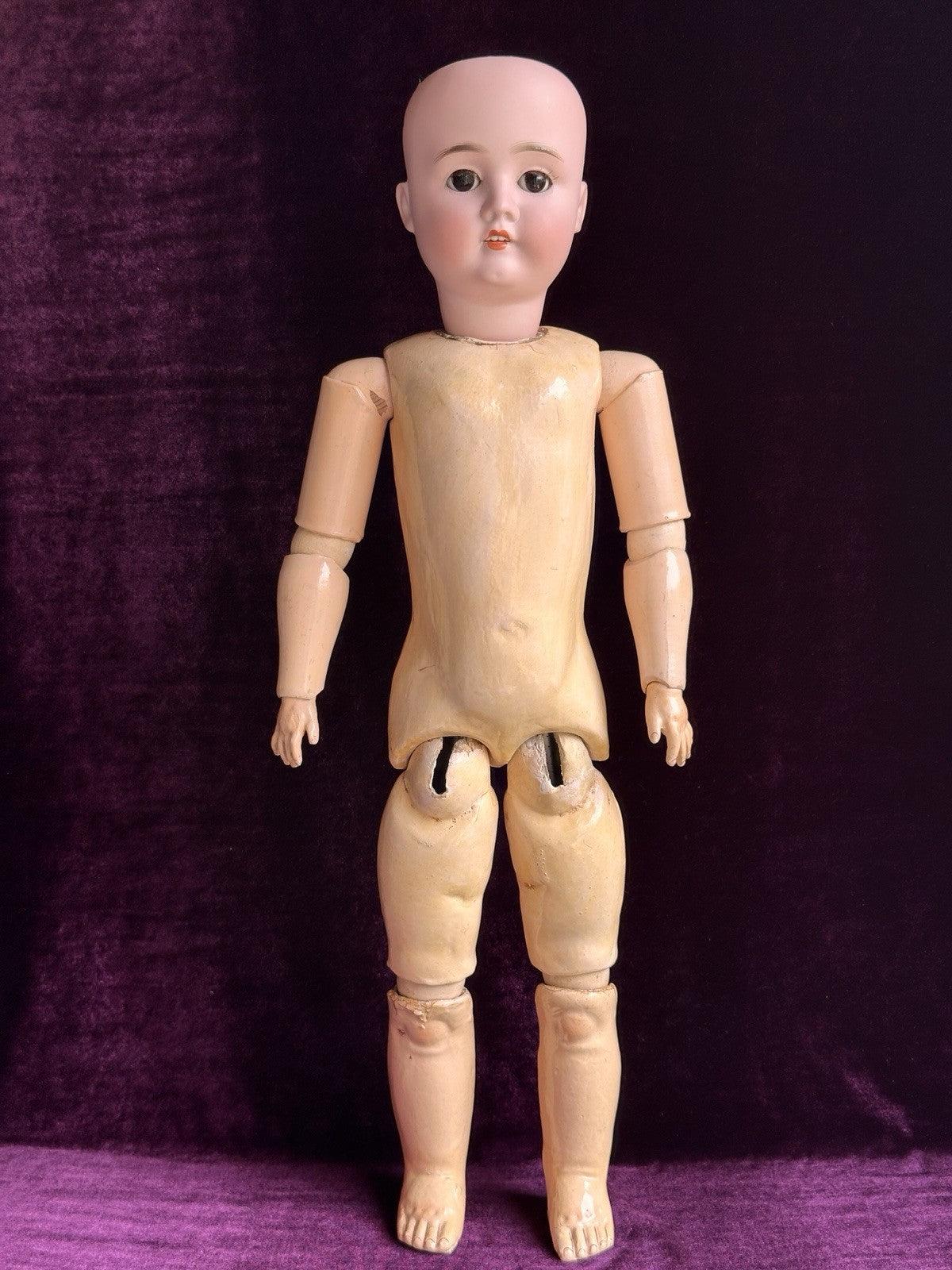 Antique German 24” Hamburger & Co. Viola Bisque Head Doll