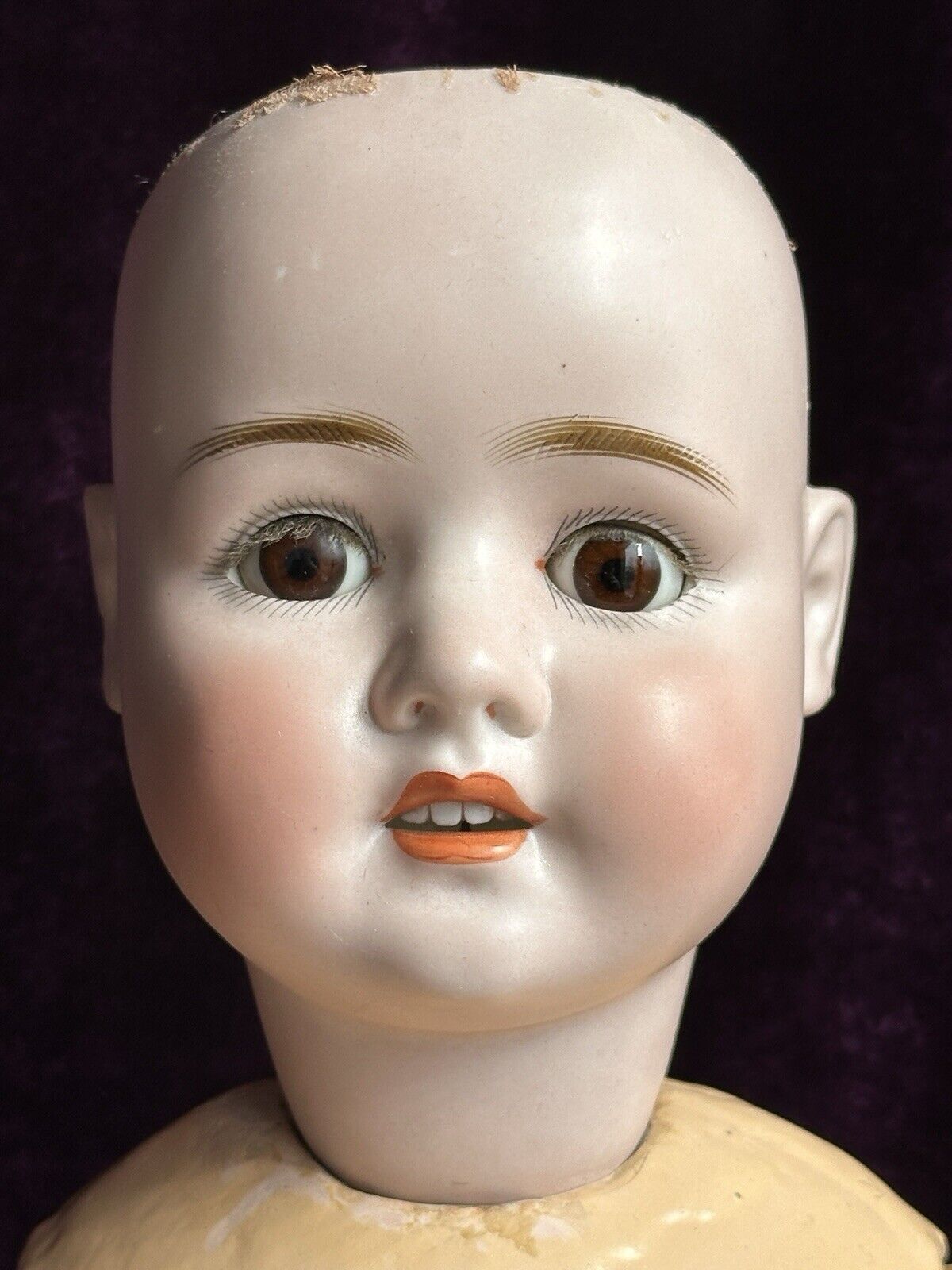 Antique German 28.5" Schoenau & Hoffmeister 914 Bisque Head Doll