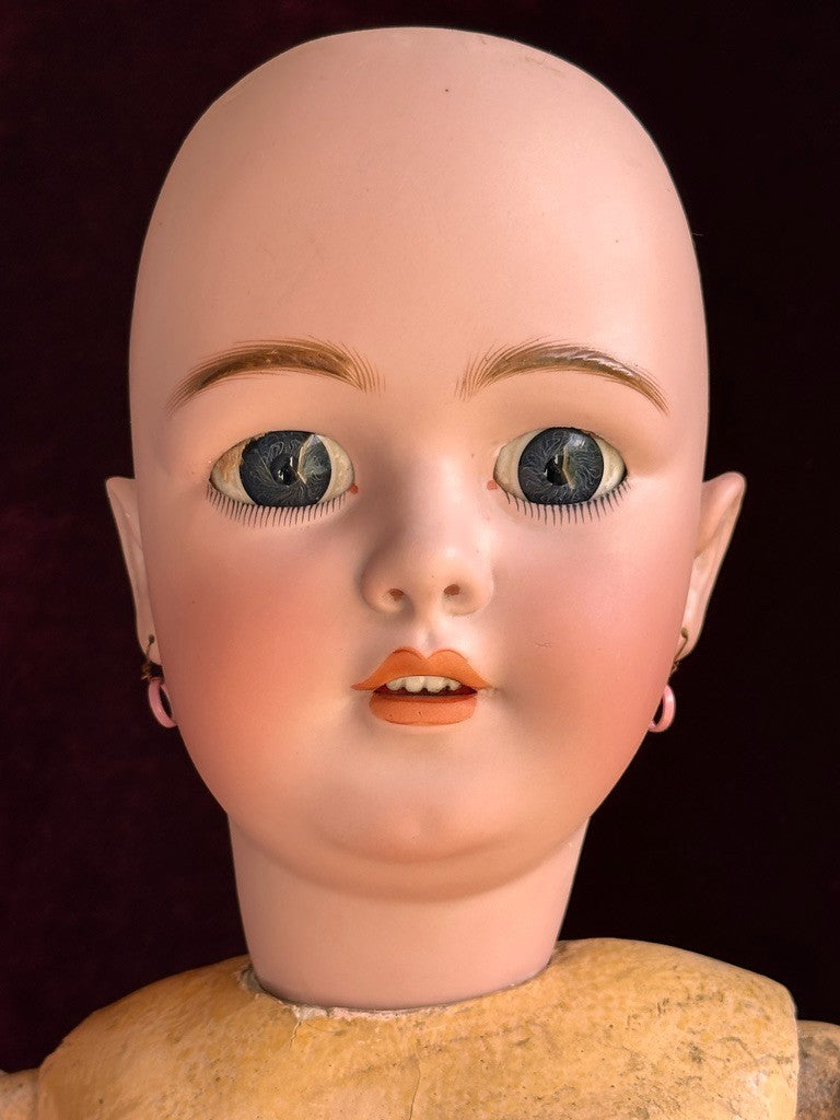 Rare Large Antique German 30" Simon Halbig 1269 Dep Bisque Head Doll