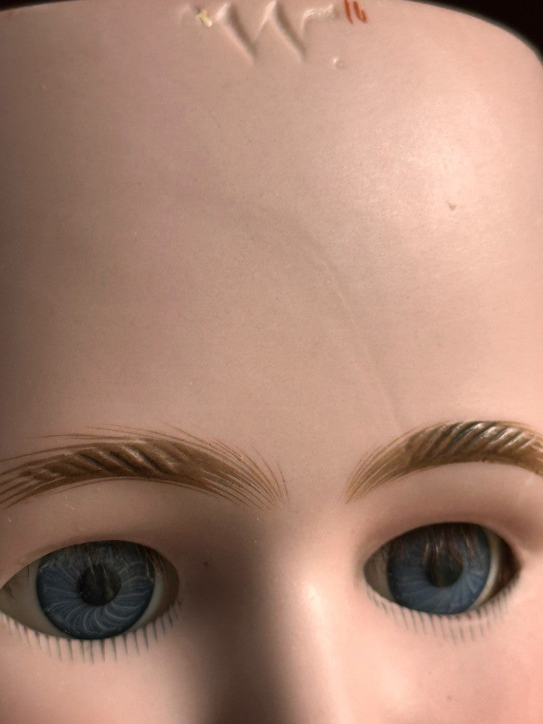 Antique German Halbig Handwerck Bebe Cosmopolite Bisque Head Doll Crier Orig Box