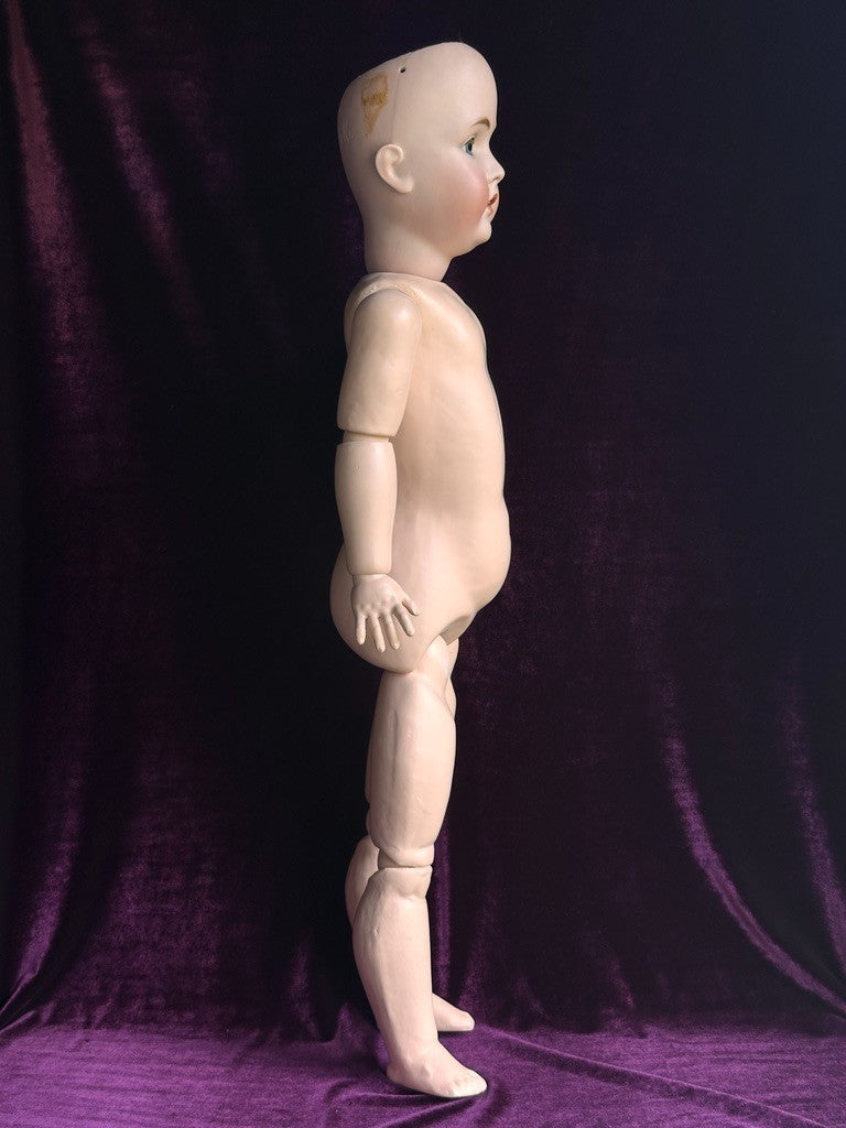Large Lifelike Antique German 30” Kestner 171 Bisque Head Doll