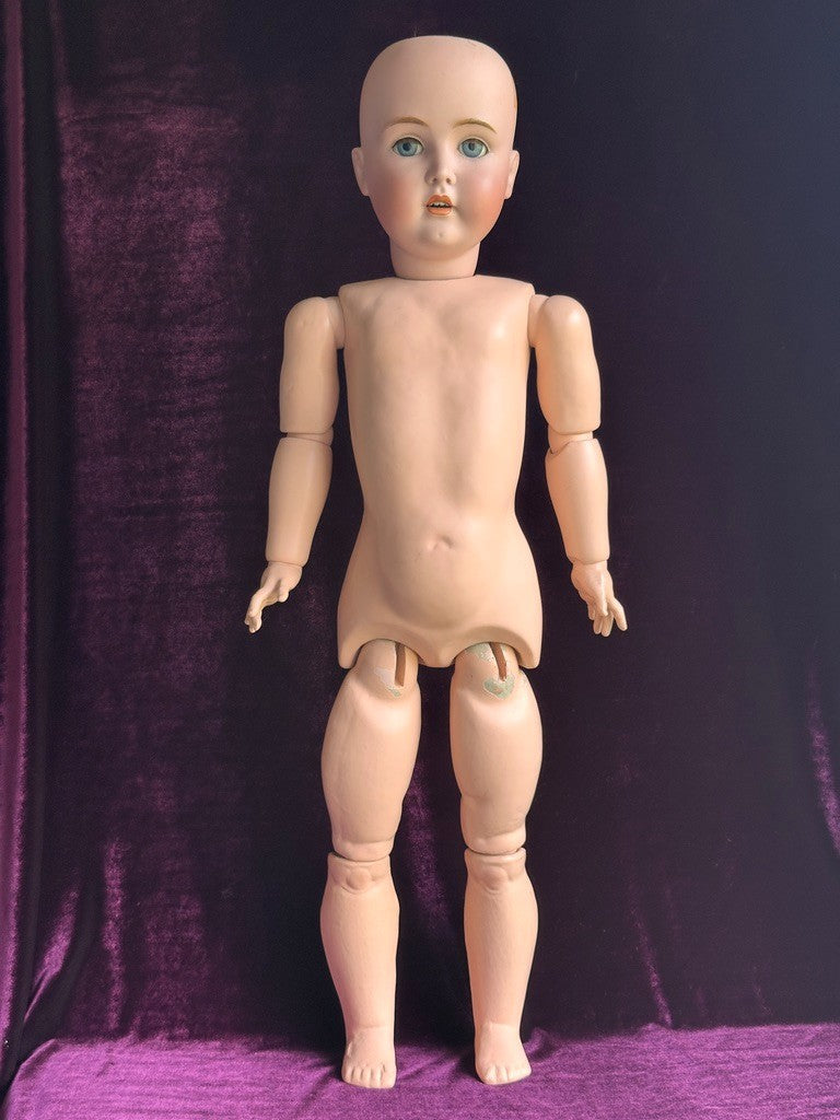 Large Lifelike Antique German 30” Kestner 171 Bisque Head Doll