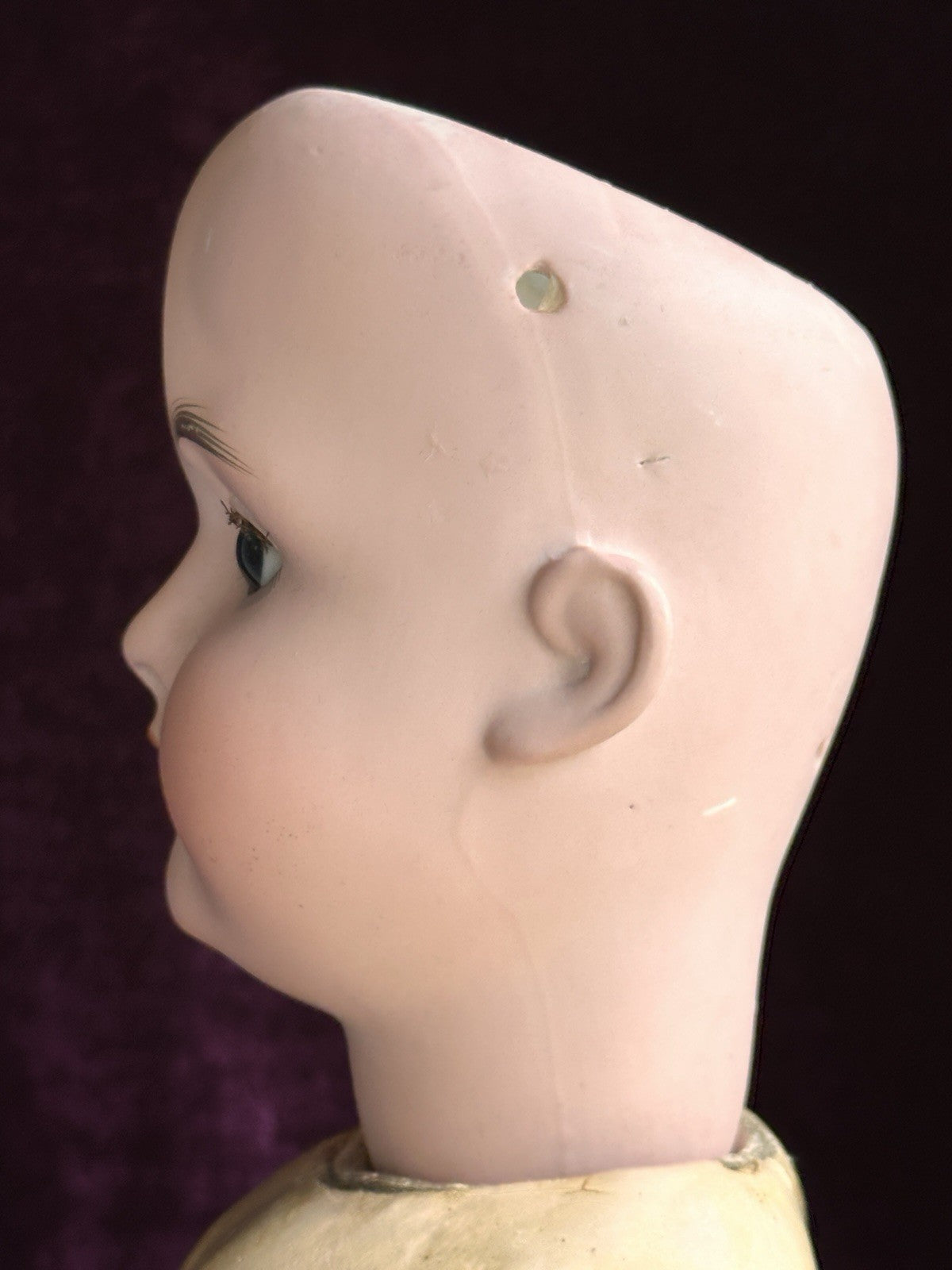 Antique German 24” Hamburger & Co. Viola Bisque Head Doll