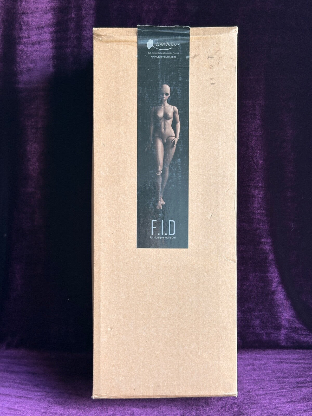Iple House 17” F.I.D Female Harase BJD 1/4 Resin Fashion Doll Face-Up Wig Box