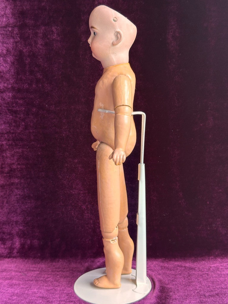 Antique German 15” Paul Schmidt (?) Bisque Head Sonnenberg Body Doll
