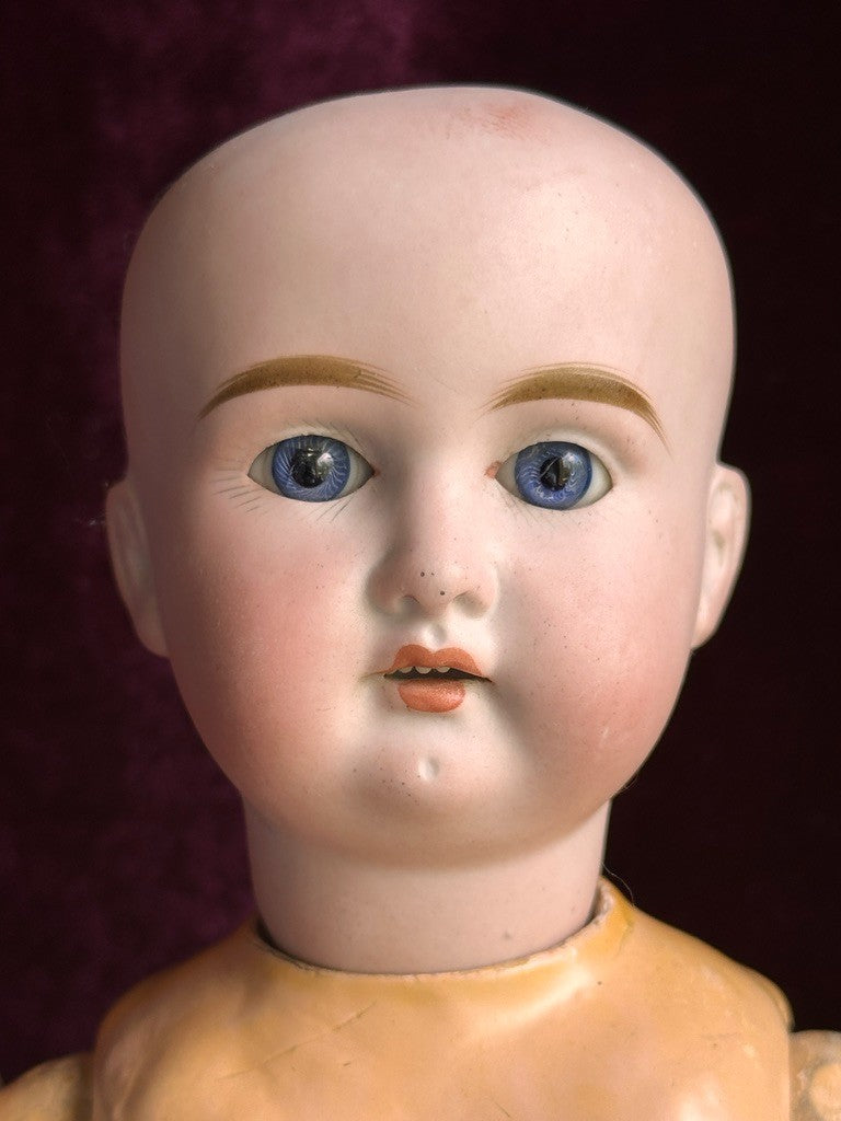 Antique German 15” Paul Schmidt (?) Bisque Head Sonnenberg Body Doll
