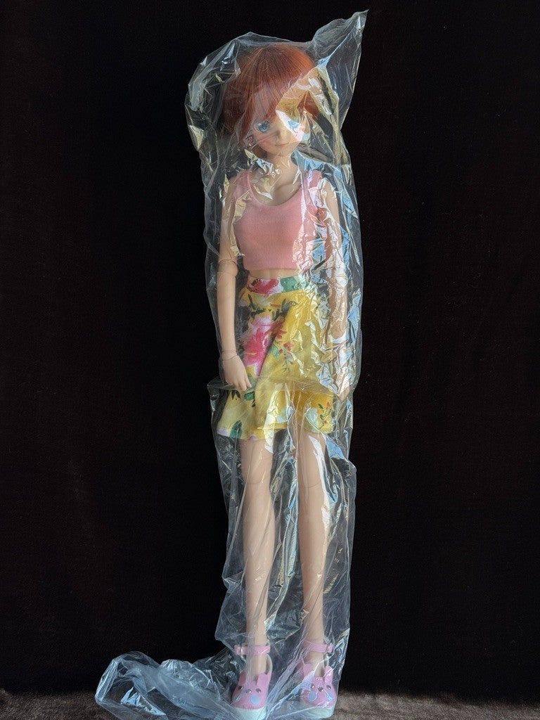 Smart Doll Haruka Vinyl BJD Anime Style Doll by Danny Choo w/ Box & Accessories