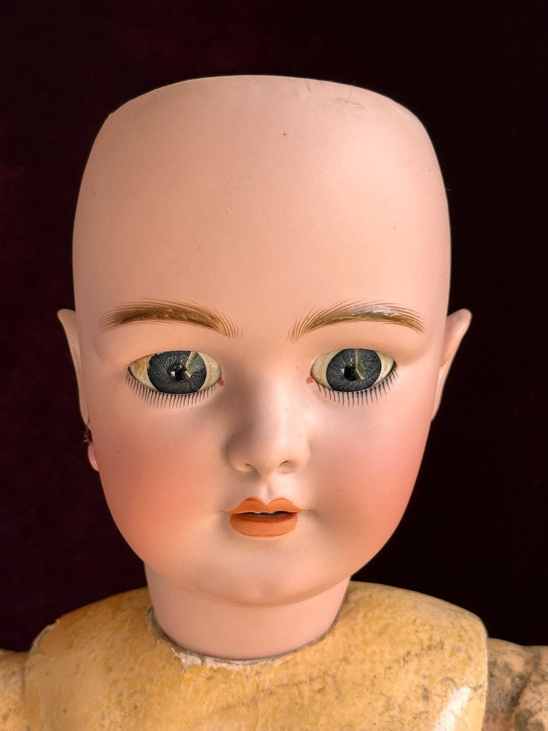 Rare Large Antique German 30" Simon Halbig 1269 Dep Bisque Head Doll