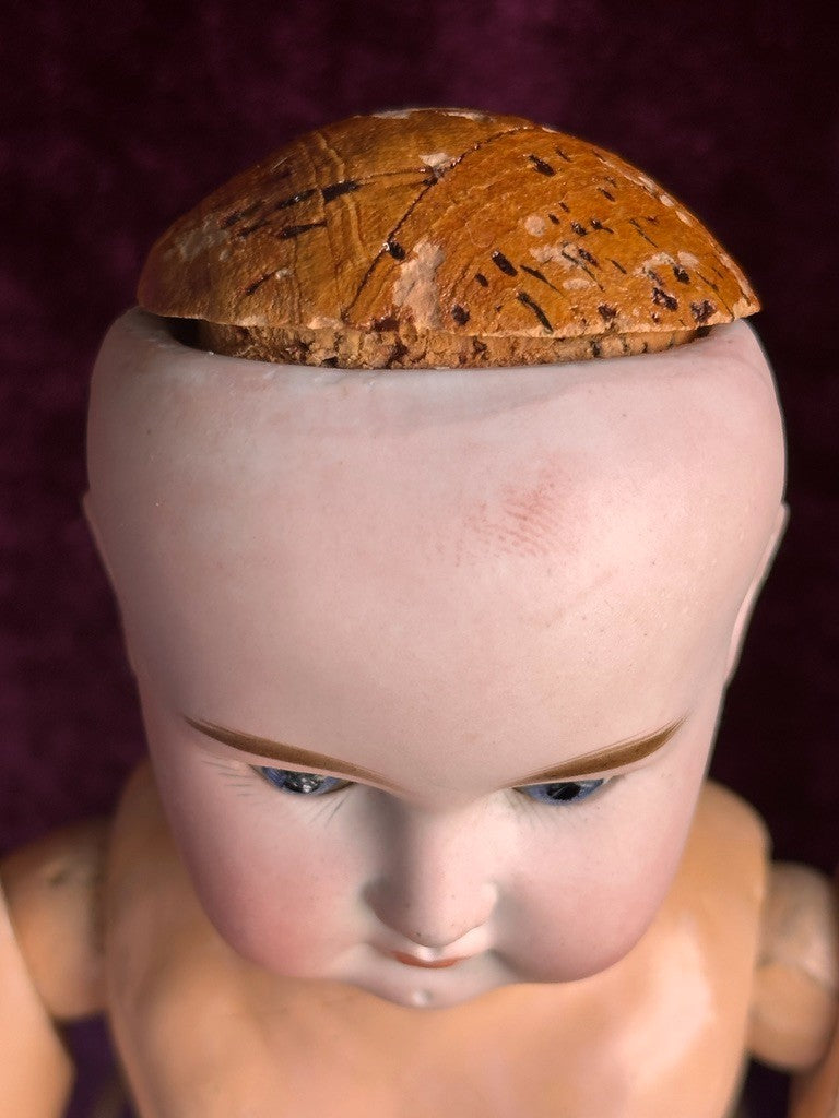 Antique German 15” Paul Schmidt (?) Bisque Head Sonnenberg Body Doll
