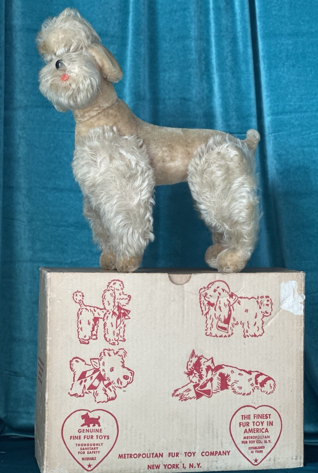 Vintage 1950’s  Stuffed Poodle Dog By Metropolitan Fur Toy Company Original Box