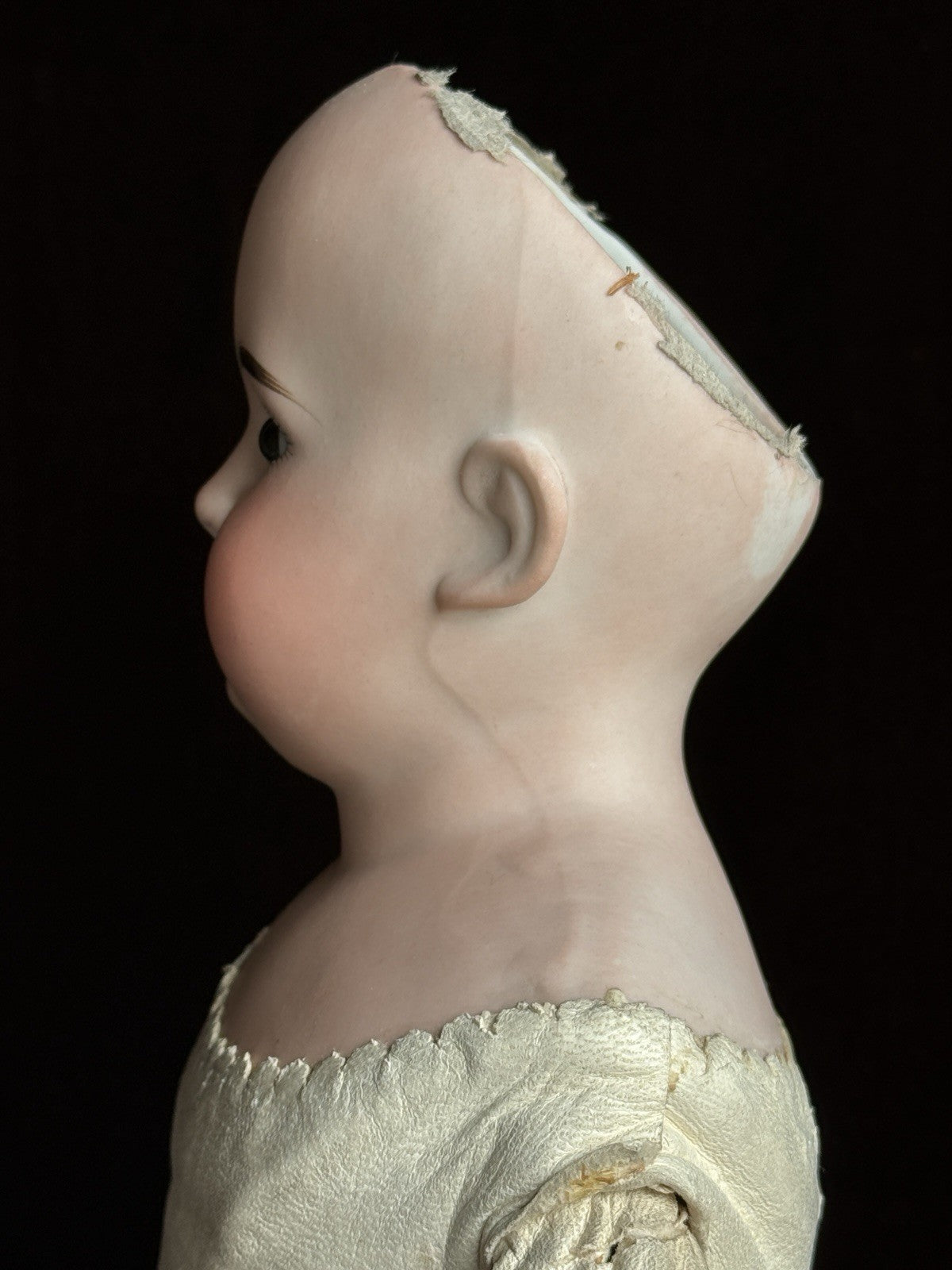Antique German 19” Heubach Koppelsdorf (?) Bisque Shoulder Head Doll