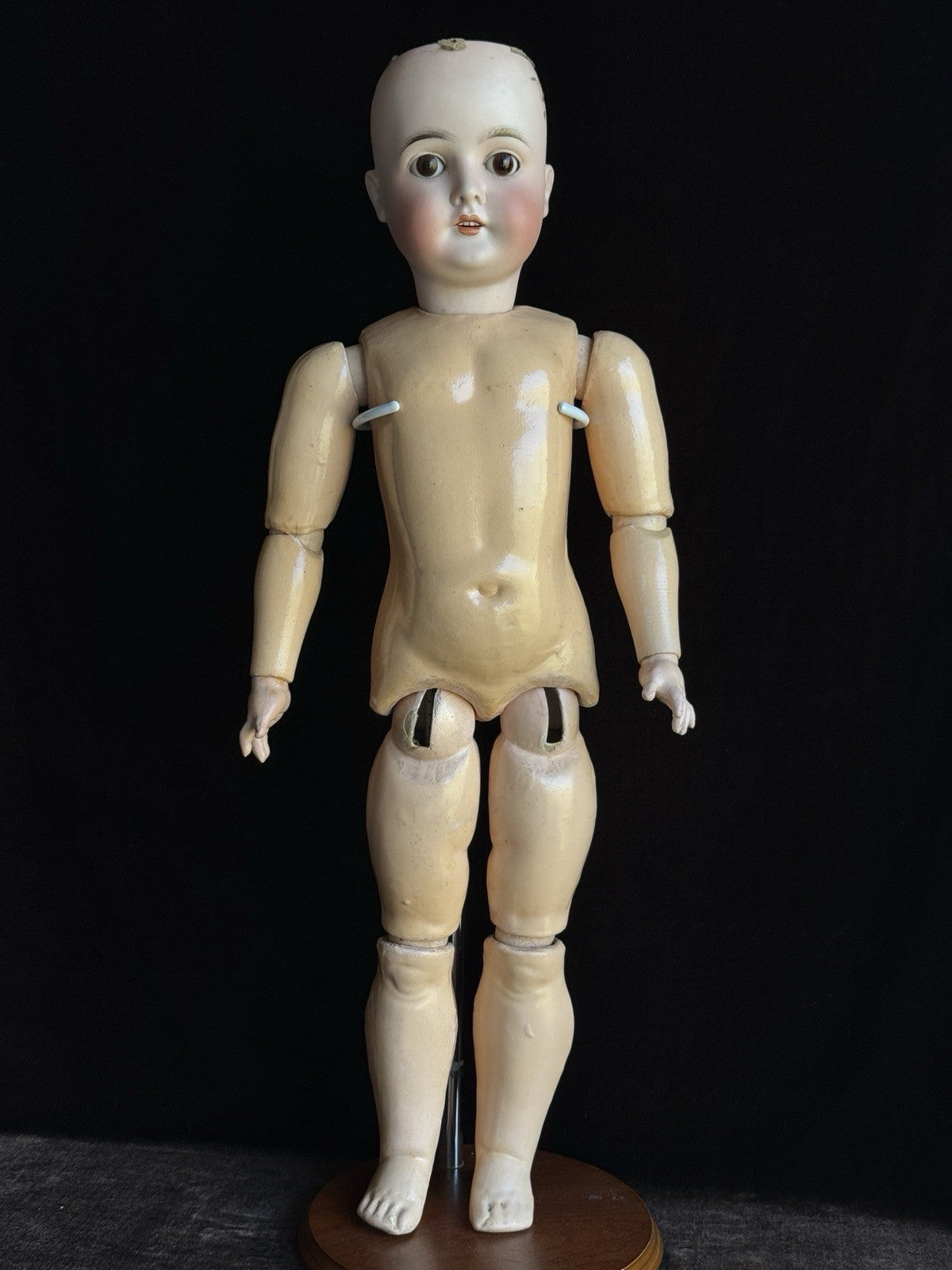 Antique German 25” Queen Louise Bisque Head Composition Body Doll