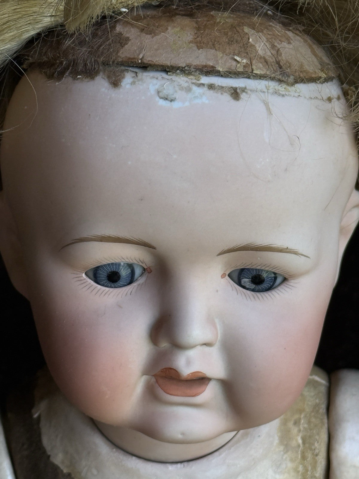 Antique Japanese 16” Yamato Nippon Bisque Head Baby Doll