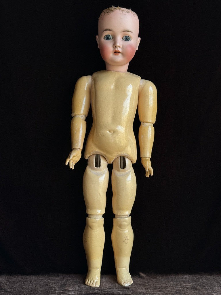 Antique German 25” Queen Louise Bisque Head Composition Body Doll