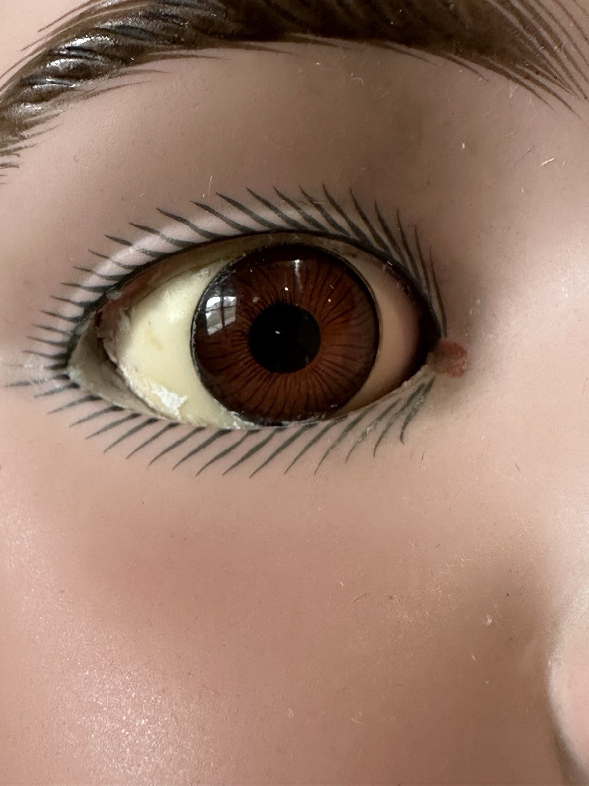 Rare Huge Antique German Heinrich  Handwerck 38 1/2” Doll Mold 79 Bisque Head