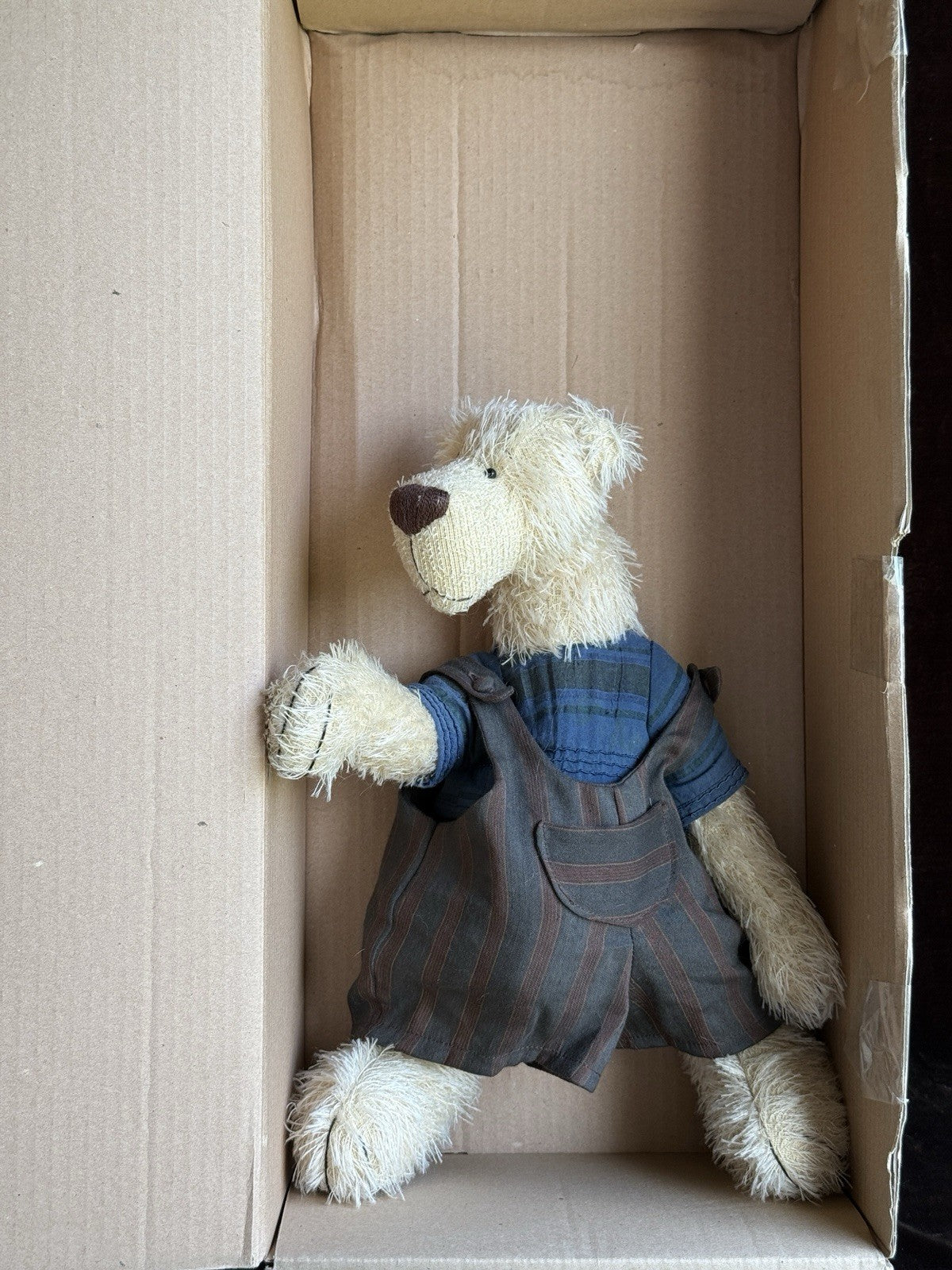 Zwergnase German 14” Fritz Teddy Bear in Box