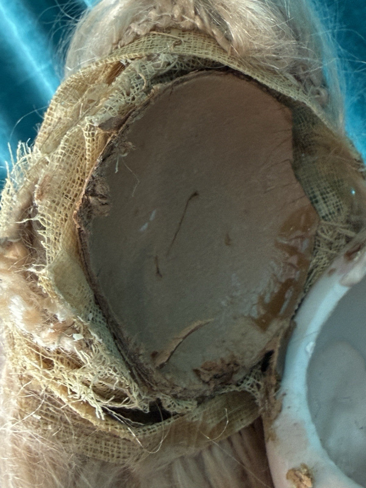 Antique German 23” Queen Louise Doll Bisque Head Composition Body