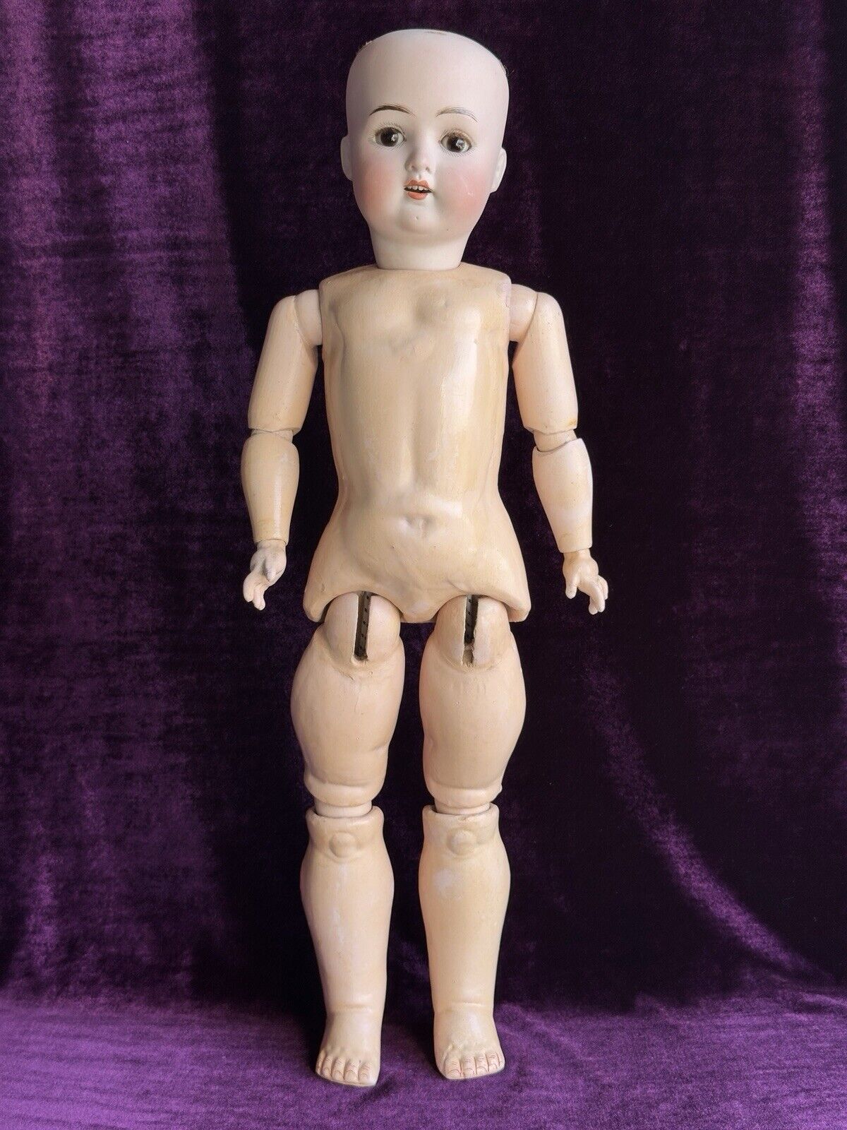 Rare Antique German 24” Theodore Wendt 121 Bisque Head Doll