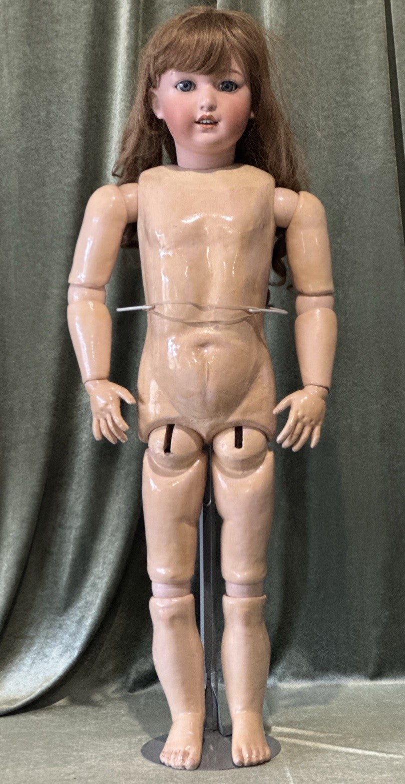 Rare!! Huge 40” Antique German Gebruder Heubach Doll Dep Bisque Head Comp Body