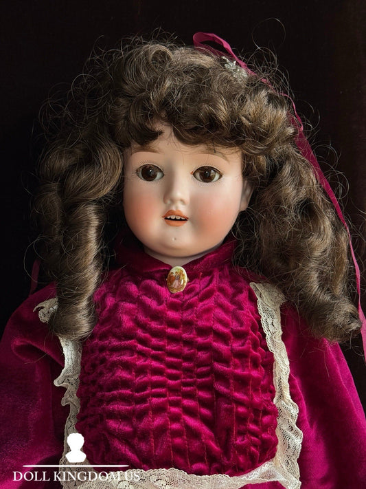 Antique German 24.5” Schoenau & Hoffmeister 1909 Bisque Head Doll