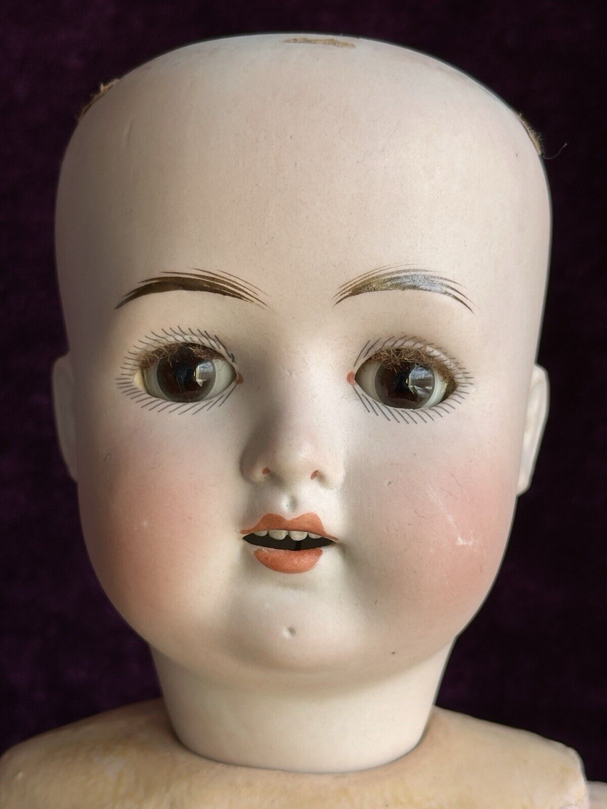 Rare Antique German 24” Theodore Wendt 121 Bisque Head Doll