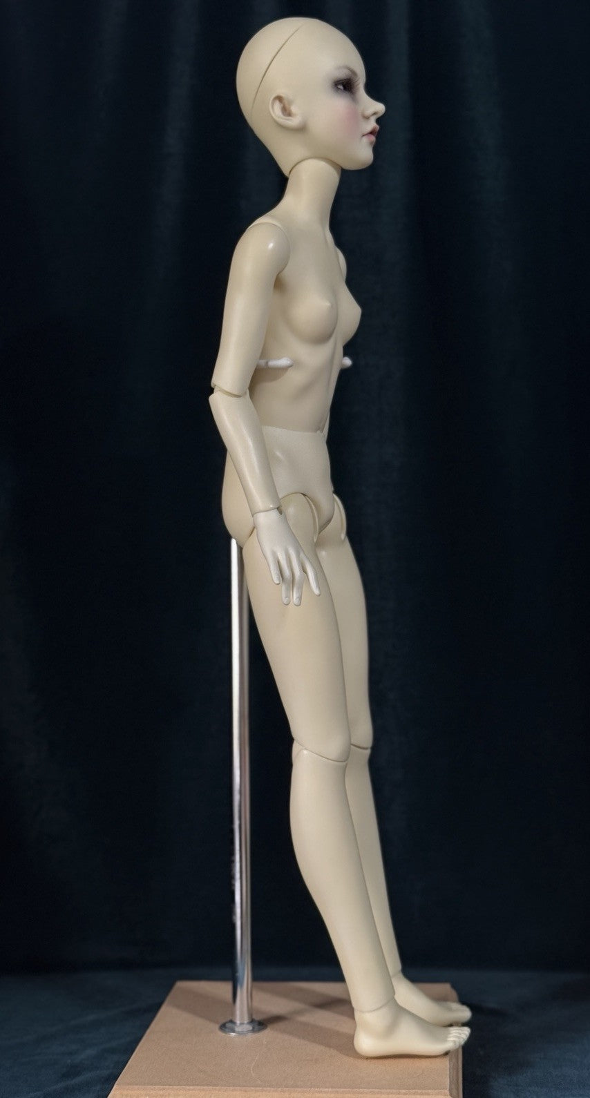 Artist Painted Dollstown Company Resin Fashion BJD 23” Elysia Head Doll