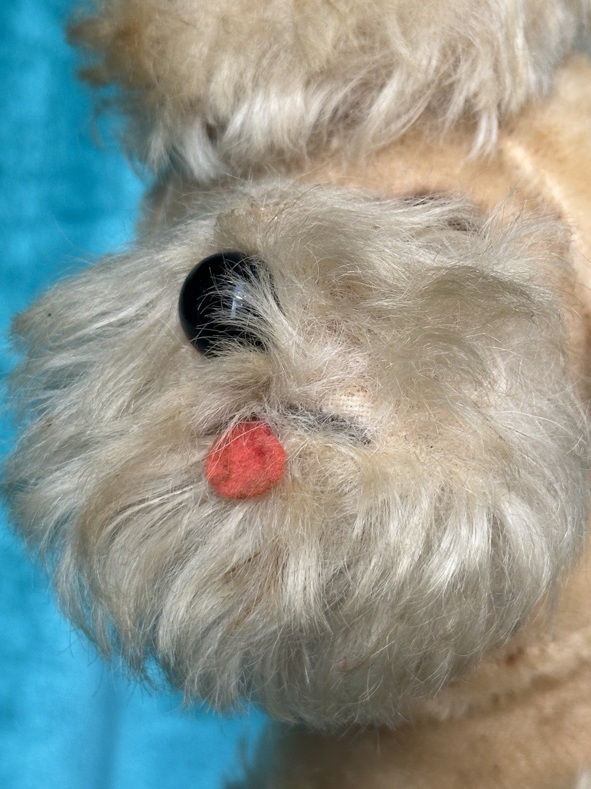 Vintage 1950’s  Stuffed Poodle Dog By Metropolitan Fur Toy Company Original Box