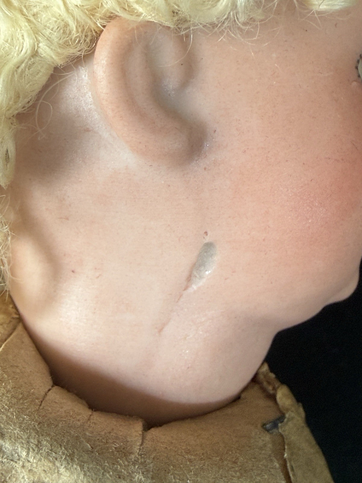 Antique German Hermann Steiner Googly Eyes 7” Doll Bisque Head