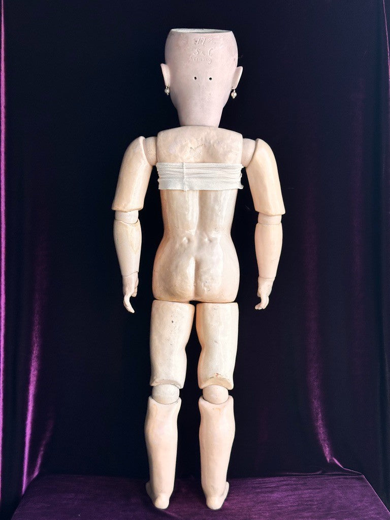 Huge Antique German 36" Franz Schmidt 85 Bisque Head Doll