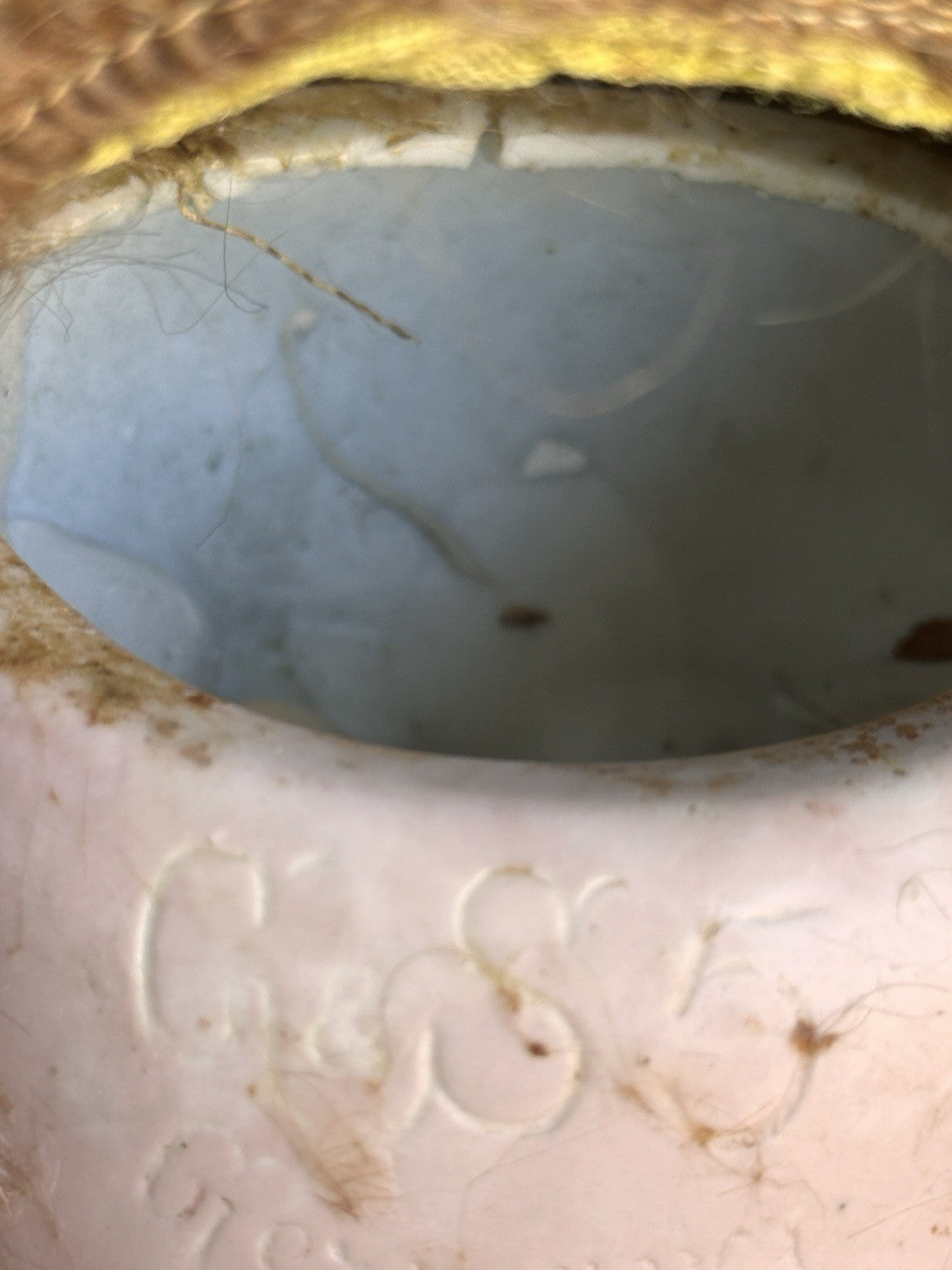 Antique German 23” Gans & Seyfarth Bisque Head Doll