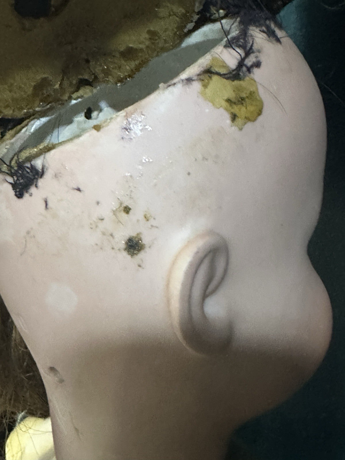 Antique German Shoenau & Hoffmeister Mold 5300 Bisque Head 23” Doll