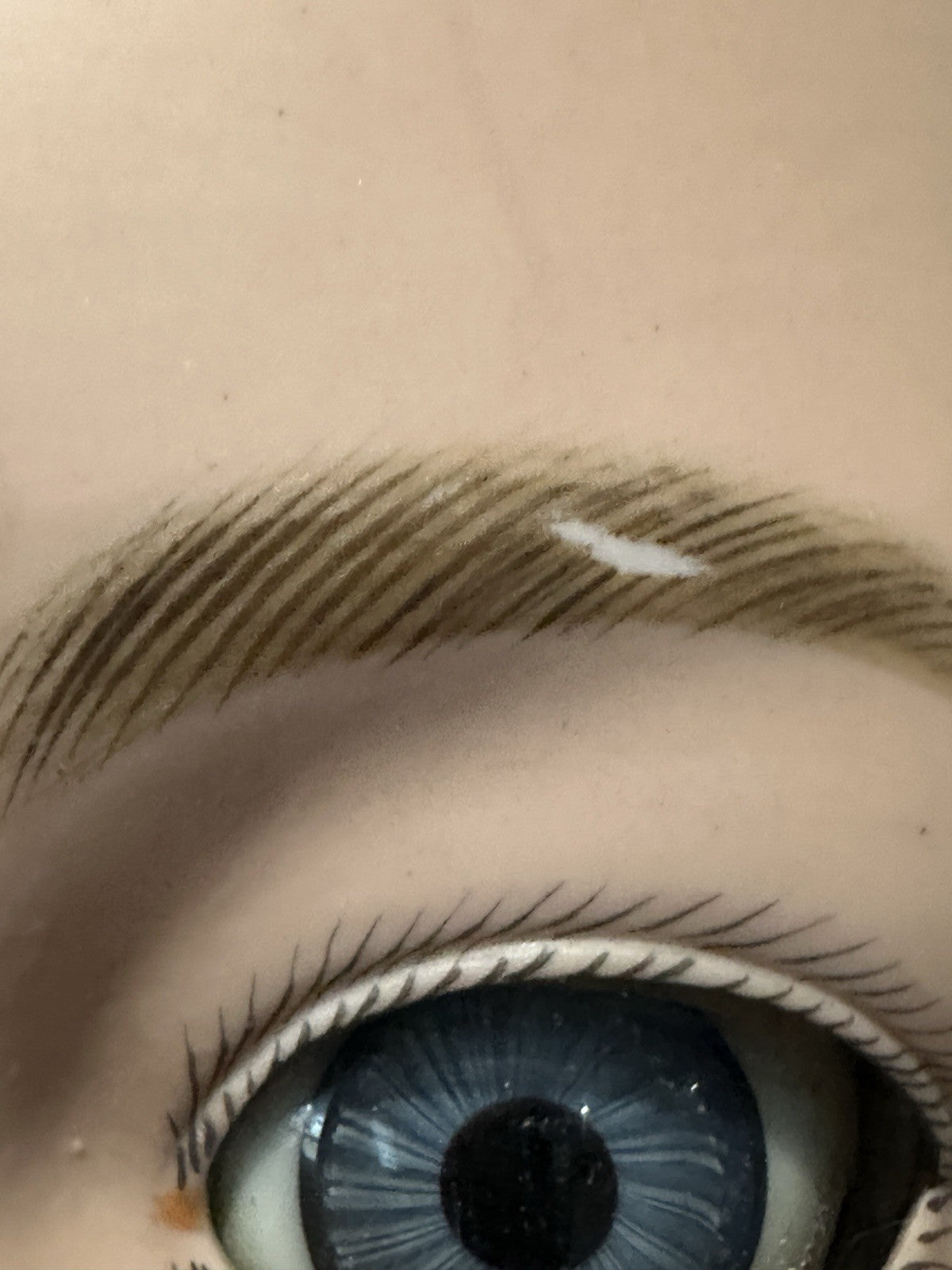 Rare!! Huge 40” Antique German Gebruder Heubach Doll Dep Bisque Head Comp Body