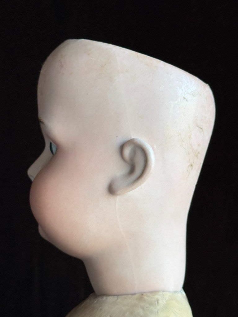 Antique German 26" Bruno Schmidt Bisque Head Doll