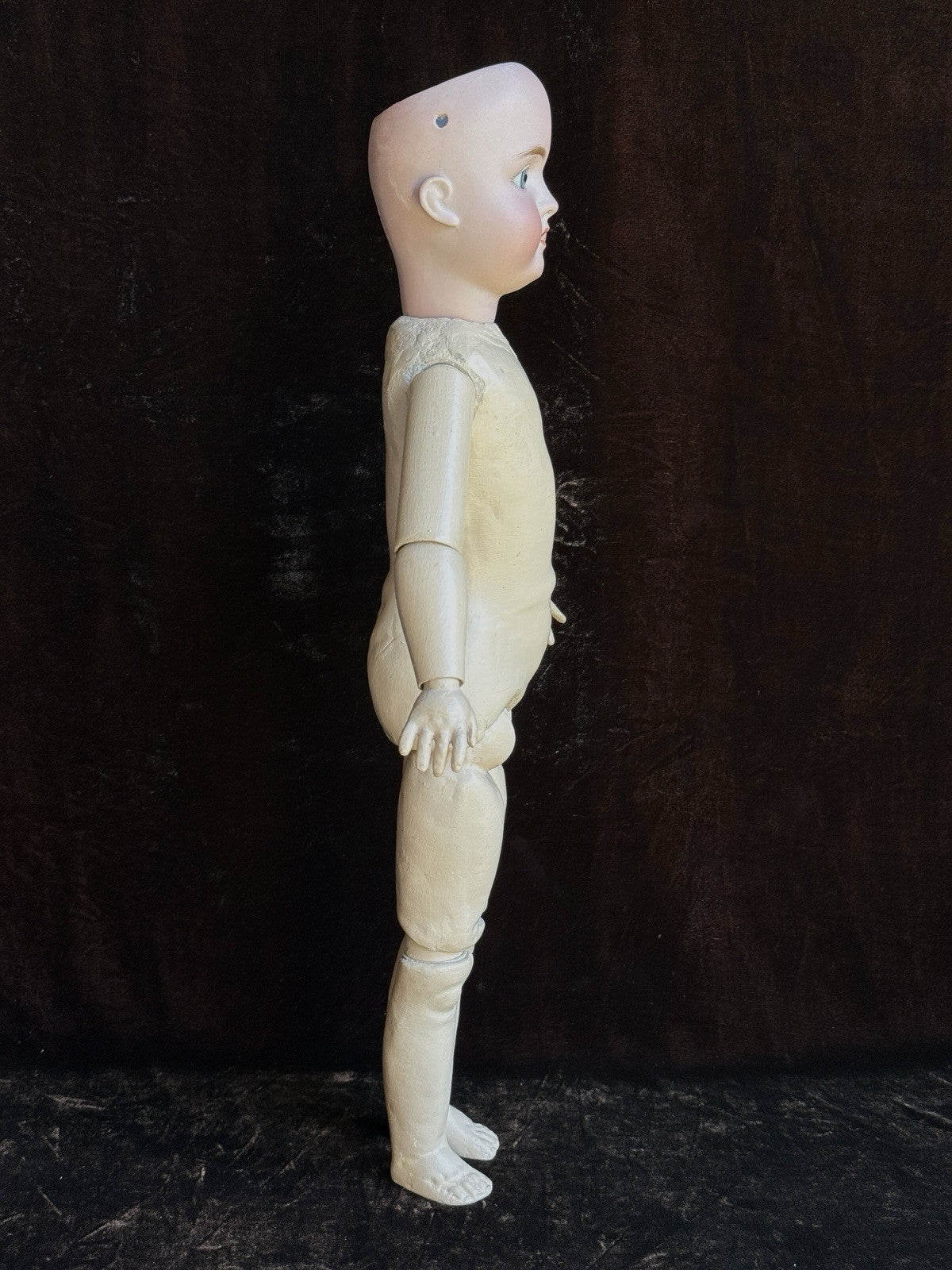 Antique German 20” Schoenau & Hoffmeister 1906 Bisque Head Doll