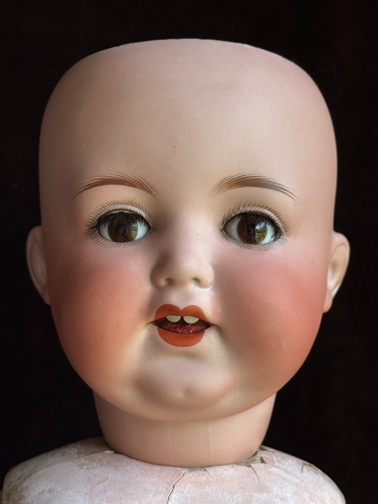 Antique German 25” Armand Marseille 996 Bisque Socket Head Toddler Doll