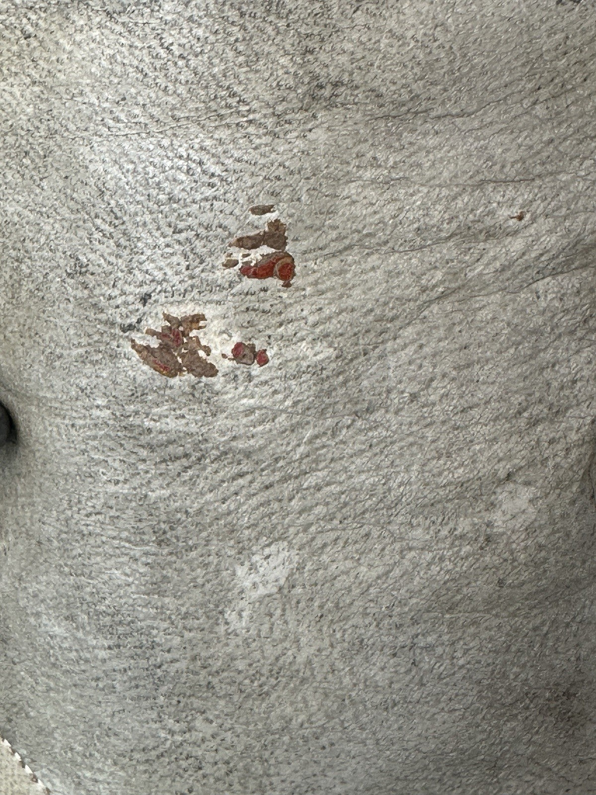 Antique German Heinrich  Handwerck Bisque Head Leather Body 27” Doll Mold 139 31