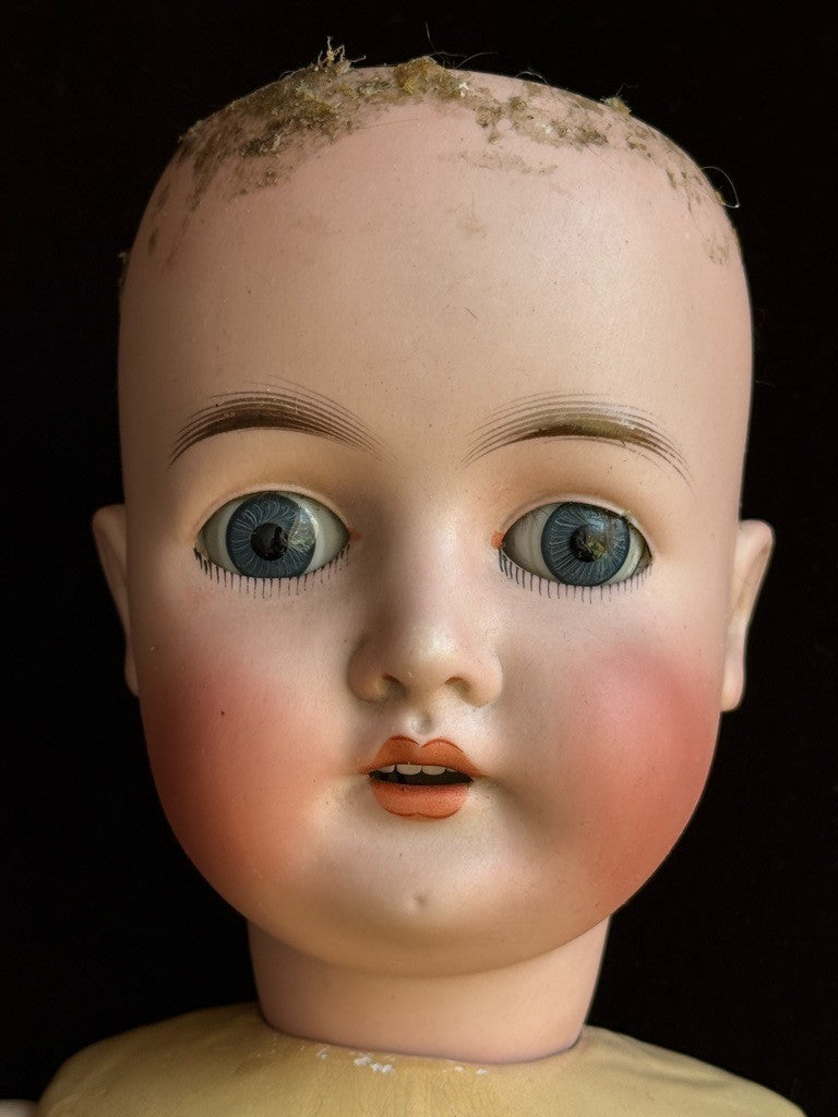 Antique German 25” Queen Louise Bisque Head Composition Body Doll