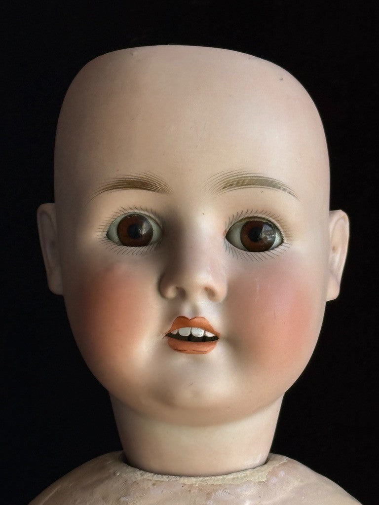 Large Antique German 29” Schoenau & Hoffmeister 914 Bisque Head Doll