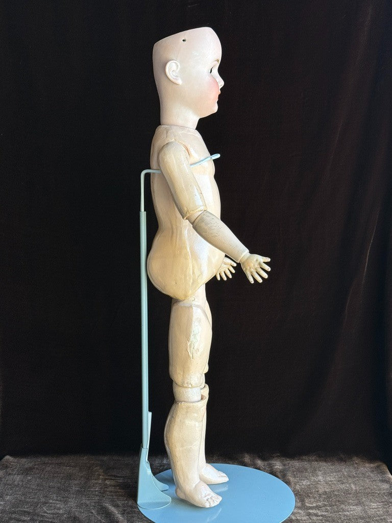 Large Antique German 29” Schoenau & Hoffmeister 914 Bisque Head Doll