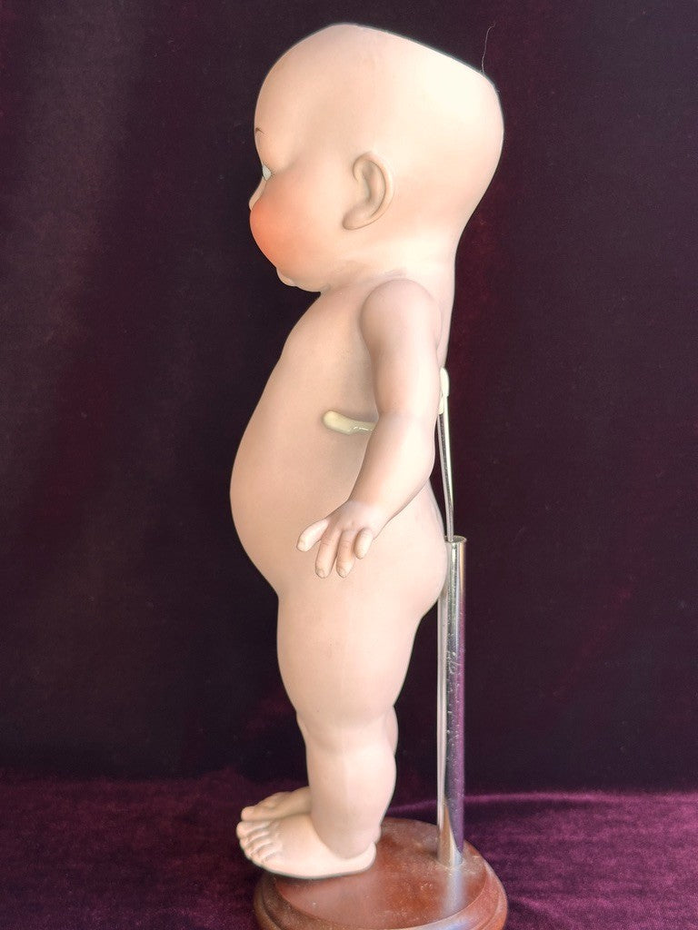 Rare Large 11" Hertel Schwab 222 "Our Fairy" All Bisque Googly Eyes Doll