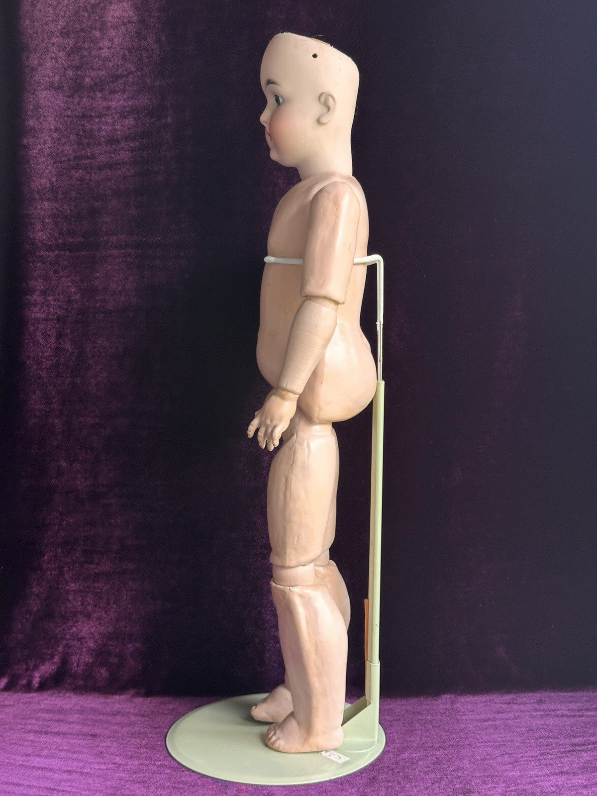 Antique German 25” Queen Louise Doll Bisque Head Composition Body