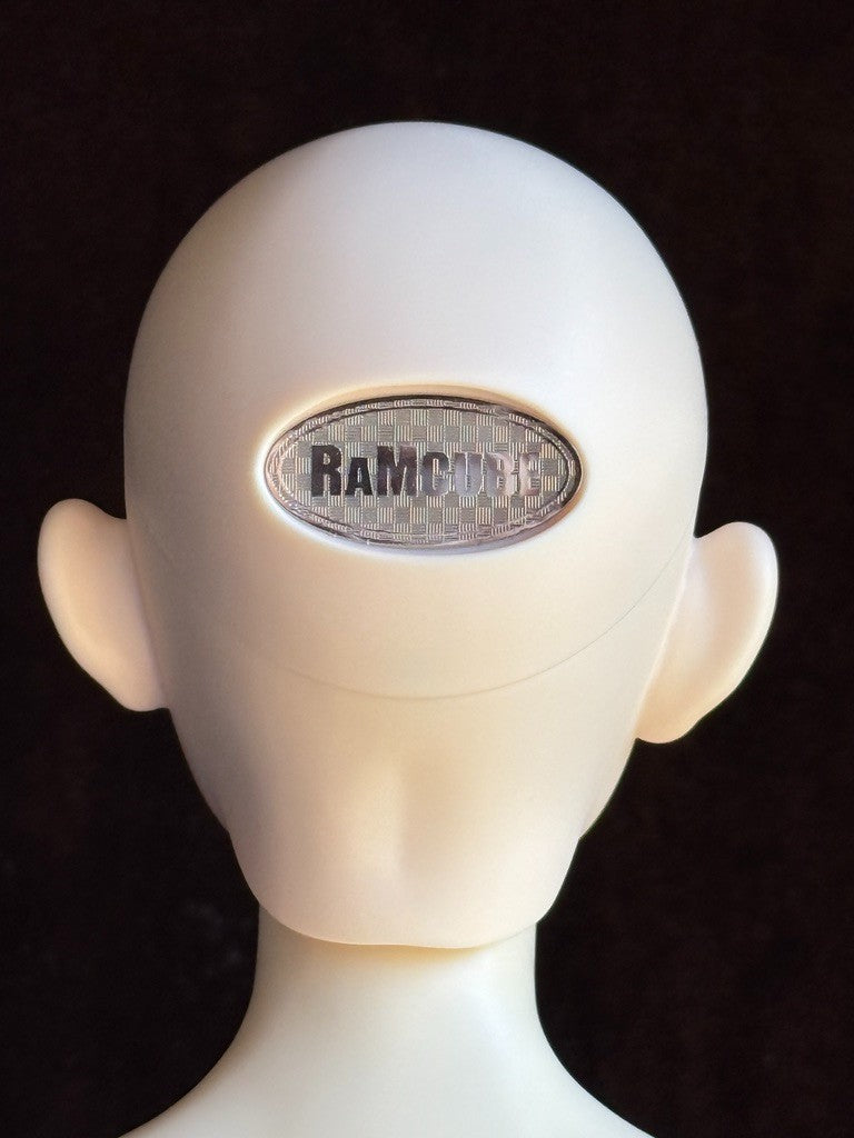 RaMcube SD 24" BJD Fantasy Character Prisoner Male Doll Full Set Face-up Dressed